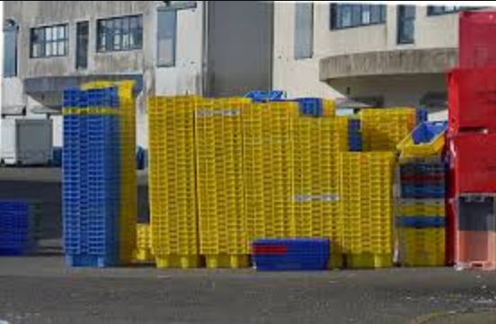 Peran Plastik dalam Mendukung Efisiensi Bisnis dan Distribusi